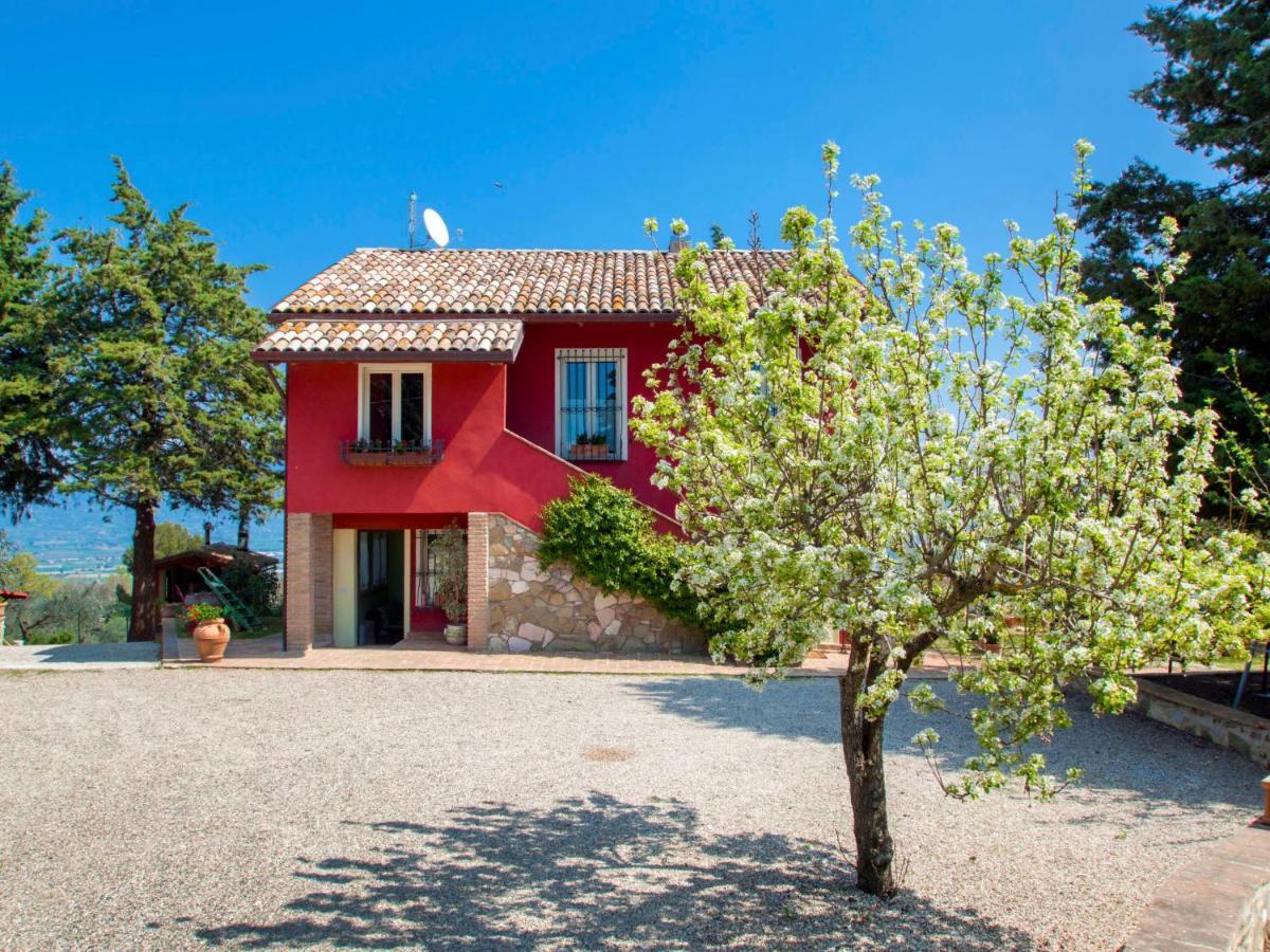 Holiday Home La Letizia By Interhome Collemancio Экстерьер фото